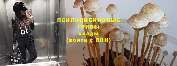 соль курить ск Алексеевка