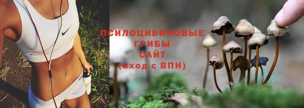 скорость Алзамай