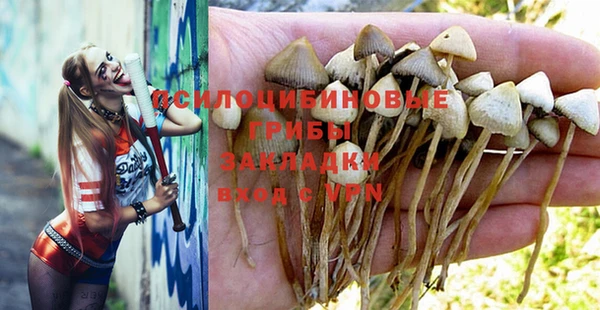 скорость Алзамай