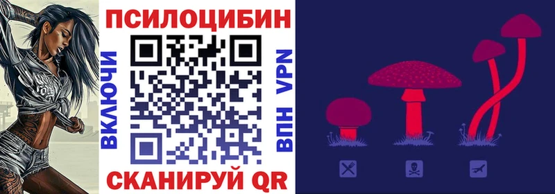 Псилоцибиновые грибы Cubensis  как найти закладки  Боровск 